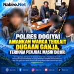 Polres-Dogiyai_-Dugaan-Ganja-Diselidiki.jpg