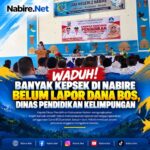 dana-bos-nabire.jpg