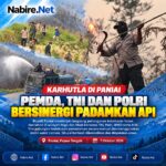 karhutla-paniai.jpg